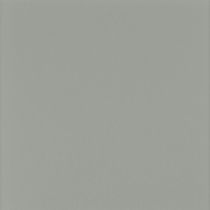 Costa grey paint color