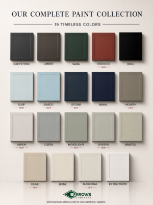 Cabinet Paint Options