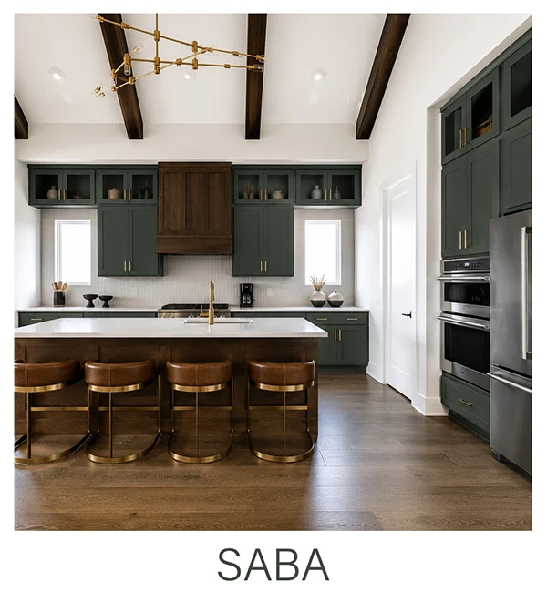 Saba-beech-levanzo-kitchen
