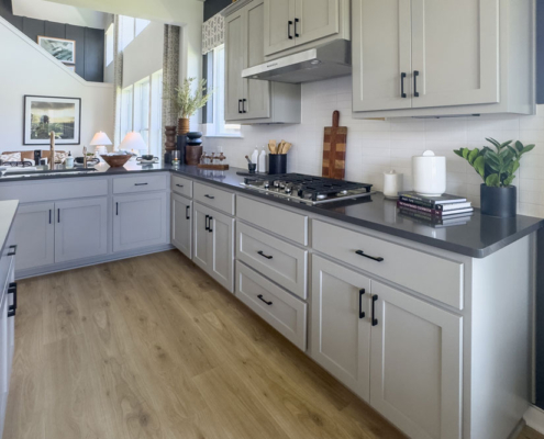 Transitional kitchen cabinets in Bristol grey with black countertops and Shaker door style