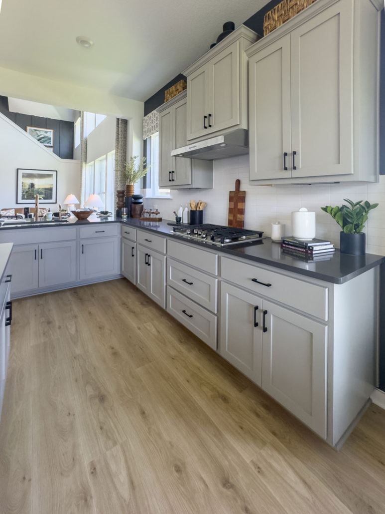 Transitional kitchen cabinets in Bristol grey with black countertops and Shaker door style