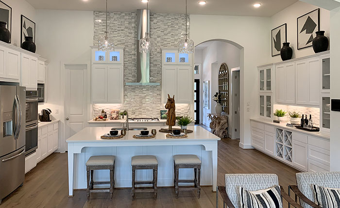 White cabinets, shaker doors in frost white with black accents